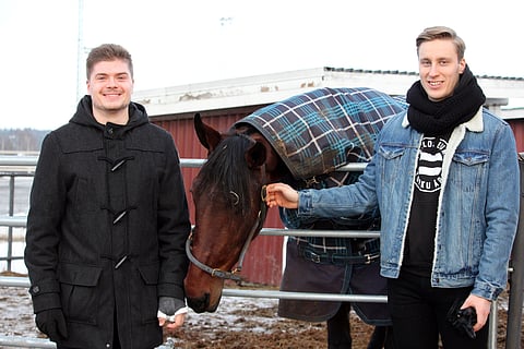 Classmate Matchin jatkosuunnitelmasta päätetään pääsiäisviikolla. Tällä hetkellä hevonen on sairauslomalla. Vierellä Hannu Kuru ja Elias Karvonen. Arkistokuva. Kuvaaja: Hanna Närhinen