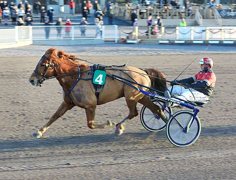 Koskelan Akseli oli menopäällä Vermossa.