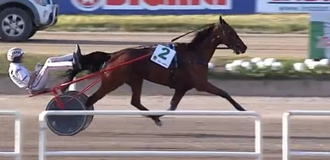 Bel Avis voitti Lotterian toukokuussa. Kuva: HU arkisto