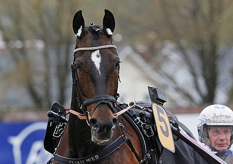 Elian Web on mahdollinen yllättäjä Rommen miljoonajahdissa.