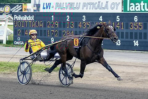 Yli puolen vuoden tauolta tullut Global Solidarity oli heti valmis voittamaan.