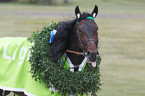 Näyttääkö Graceful Swamp jälleen kieltä vastustajilleen? Se näytetään tänään TV2:lla. Kuva: Jarno Unkuri