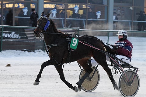 Inflammable Jam talvisessa arkistokuvassa.