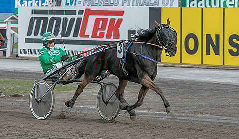 Ari Moilasen ajama Livi Mystery kiri lopussa varmasti ykköseksi.