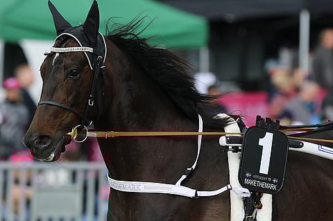 Elitloppet-kolmonen Makethemark nähdään tänä suvena Mikkelissä. Kuva: Jarno Unkuri.