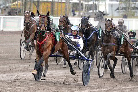 Mascate Match hallitsi Seppeleajoa parastaan esittämättä.