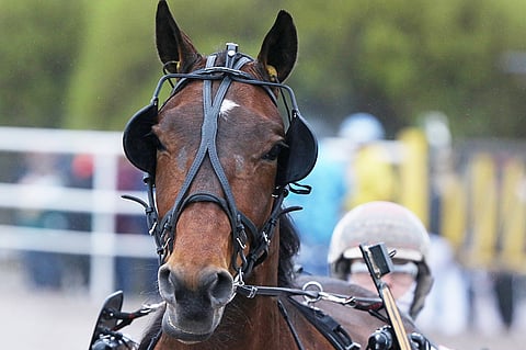 Next Directionin kauden avausta joudutaan odottamaan vielä muutama viikko.