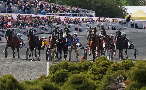 Sweden Cupin maalisuoraa tultiin laajalla rintamalla. Queer Fish kiri voittoon aivan ulkoa, tummanpuhuva Chief Orlando otteli keskeltä toiseksi. Kuva: Jarno Unkuri.