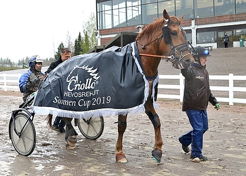 Raggari nappasi Suomen Cupin 15 000 euron ykköspalkinnon Jokimaan kuraisella radalla.