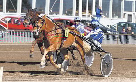 Vokkeni on lahjakas viisivuotias.