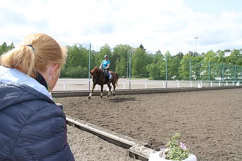 Punatukkainen erityisosaaja ja muita juttuja