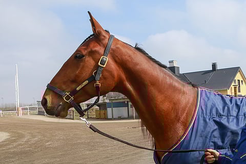 Jairo saapuu reilun viikon päästää Kouvolassa kilpailtavaan Kymi GP:hin