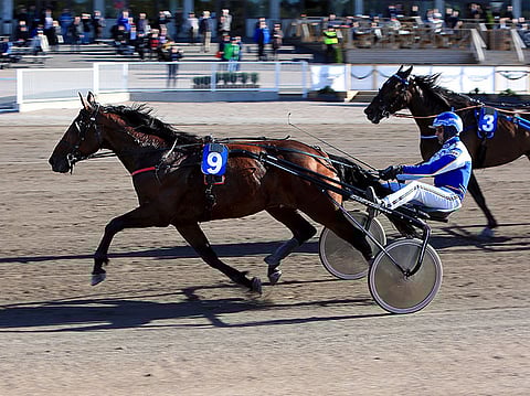 Knows Everything palasi voittokantaan.