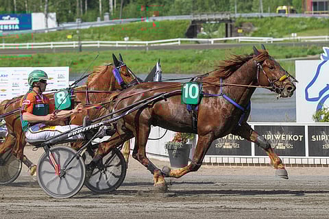 Landen Reino on juossut kaikki kilpailunsa koelähtöä lukuun ottamatta Antti Tupamäen valmennuksesta.