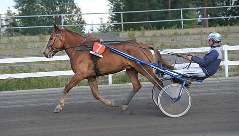 Franssonin isoveli Likser derbykarsinnoissa Killerillä 2018. Likser sijoittui vuotta aikaisemmin Pikkupelimanni-ajossa viidenneksi.