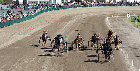 Odd Herakles irtosi lopussa helposti Nordic Kingin 50 000 euron arvoiseen voittoon pikakomennuksen tehtävään saaneen Tom Erik Solbergin ohjastamana. Tulevaisuus näyttää, nähdäänkö samalla kaviouralla myös kuninkaallisia mittelöitä.