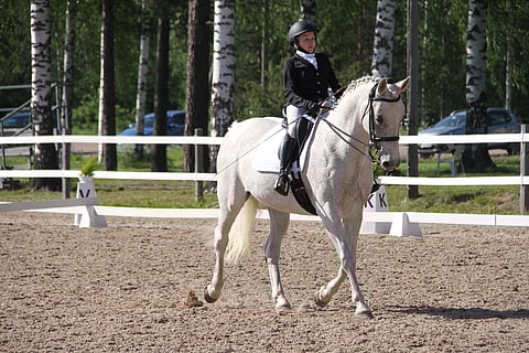 Ryhdikkäästi kohti SM-kultaa.