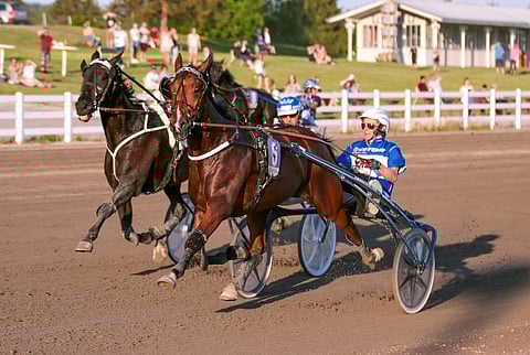 Vuonna 2019 Hachiko de Veluwe kävi ensin voittamassa Suur-Hollola-ajon alkuerän (josta kuva) ja sen jälkeen peräkkäisinä päivinä ajetut välierän ja finaalin. Kuva: Iita-Maria Ahtiainen.