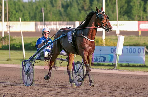 Hachiko de Veluwe palaa vajaan viiden kuukauden tauolta tositoimiin The Onionin lähdössä Solvallassa.