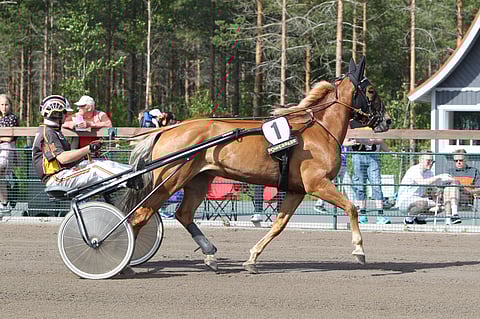Liisan Tulilintu esitteli Seinäjoella hirmuisia vauhtivarojaan.