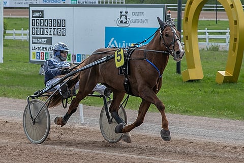 Vilju on lahjakas 6-vuotias.