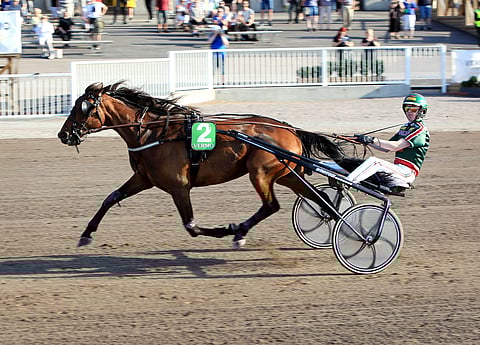 Jukka Torvisen ajokki Her Royal Highness kirmasi tammalähdön parhaaksi.