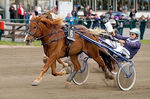 Mikko Niemistöllä oli aihetta tuuletukseen.