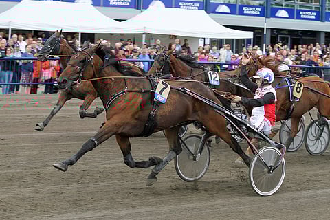 Tämän vuoden Iikka Nurmosen valmennuksessa kilpaillut Captivate on voittanut kahdeksasta startistaan viisi.