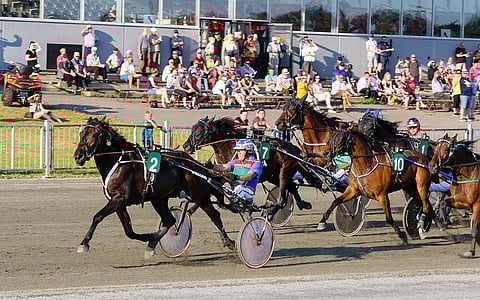 Kari Rosimon ajama Dancinginthedark veti alusta loppuun.