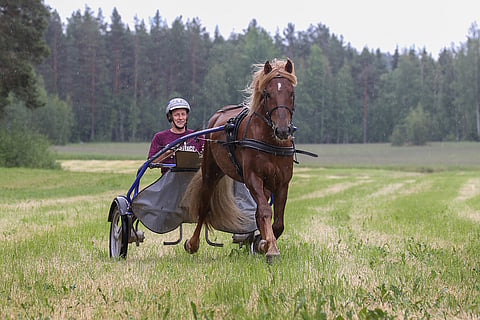 Parvelan Retu ja Petri Laine kotimaisemissa Oriveden Eräjärvellä.  Kuva Anu Leppänen.