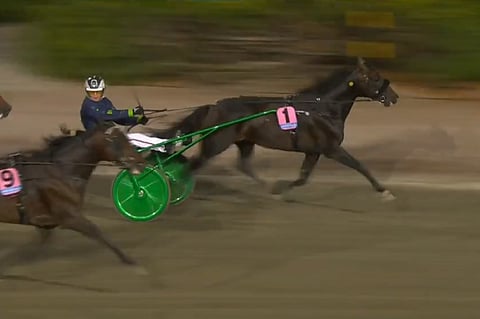 Ringostarr Treb voitti Hugo Åbergs Memorialin. Kuva: ATG Live