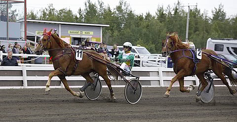 Erehykseltä hyvää vetoapua saanut Vilivillis ratkaisi Laivakankaan loppusuoralla voiton itselleen.