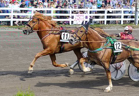 Vixeli runttasi niukasti ohi urhoollisesti taistelleen Sippimiehen.