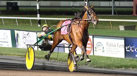 Crystal Fashion/Tim Tetrick voittoisa valjakko. Kuva: Michael Lisa / Lisa Photo, Inc.