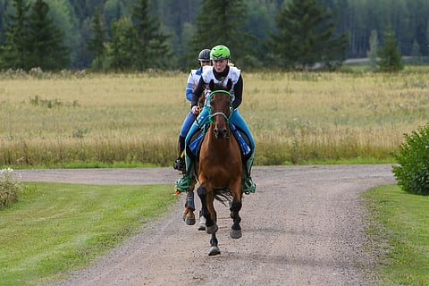Minttu-Maaria Mäntylä ja Ronaldo karistavat Kirsi Oittisen ja Zalameron kannoiltaan matkaratsastuksen SM-kisan loppusuoralla.