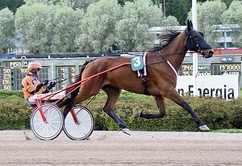 Earthquaker on kisannut urallaan myös Tommi Kylliäisen treenistä, mutta majailee nykyään Christa Packalenin joukkueen hoivissa.