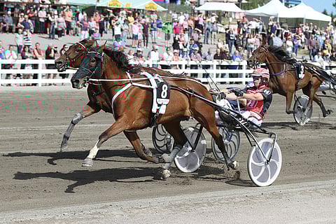 Suur-Hollola-viikonloppuun odotetaan taas tuttua yleisömerta, kun rajoitukset höllentyivät. Kuva: Roosa Lindholm