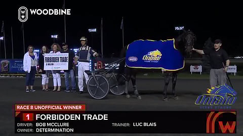 Woodbinessa juhlittiin kanadalaisen Determination tallin omistama Forbidden Tradea. (Kuva: Woodbine Replays)