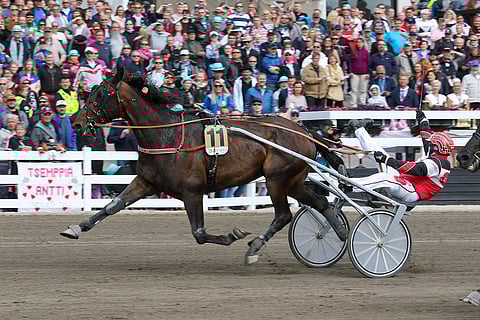 Grainfield Aidenin voittosumma meni yli kahden miljoonan kruunun. Kuva: Anu Leppänen