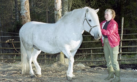Muhkea ja kaunis Eeva Venojärven suojatti oli.