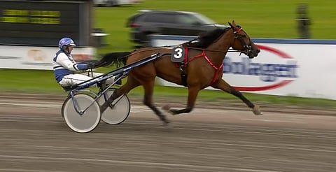 Mascate Match on kaksinkertainen E3-voittaja. Kuva: ATG Live