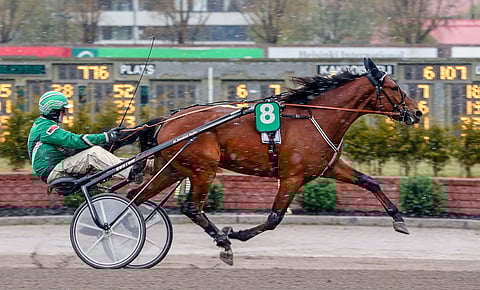 Ari Moilanen on nähty usein Markku Niemisen valmentaman Raskolnikov Fridon ohjissa, mutta Oulussa sitä ajoi Hannu Torvinen.