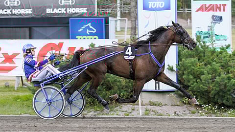 Callela Einstein on pärjännyt hienosti koko uransa, mutta viimeiset puolitoista vuotta ovat olleet terveysongelmien sävyttämiä.