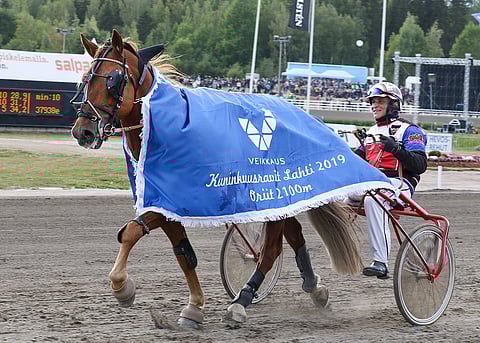 Tähen Toivomus johtaa kuninkuuskilpailua avauspäivän jälkeen.