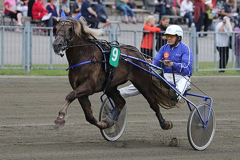 Saran Särmä on kokeilemisen arvoinen peli-idea torstaina Sorsasalossa.