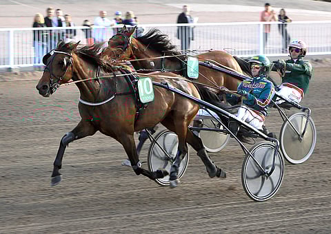 Jukka Torvisen kuskaama Her Royal Highness ei jättänyt Tammatähdessä sijaa jossitteluille.
