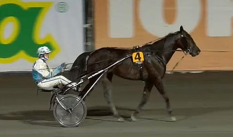 Aetos Kronos voitti viime vuonna kriterumkarsinnan Örjan Kihlströmin ajamana. Kuva: Adam Ström