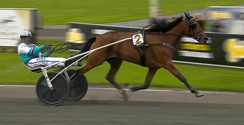 Diana Zet voitti Trav Oaksin viime vuonna. Kuva: HU arkisto