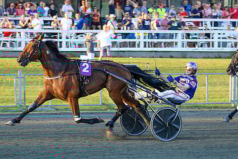 Upeasti menestynyt, mutta kovasta onnesta kärsinyt Gollum lopetettiin.