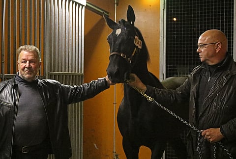 Impulso teki suuren vaikutuksen suvullaan ja ulkonäöllään Jaakko Grönmaniin (vas.). Hevosta pitelee myös toinen kasvattajista, Pauli Mattilla.